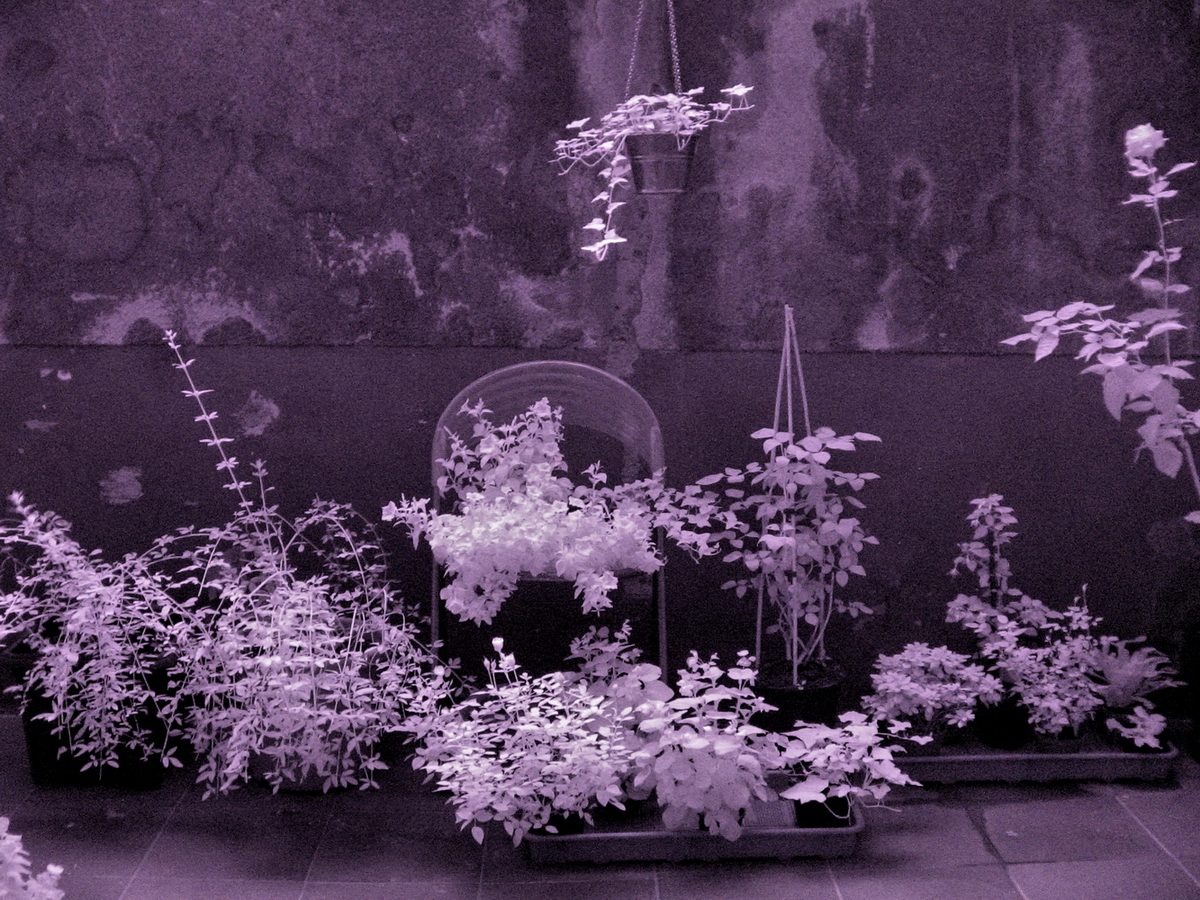 Invisible 06